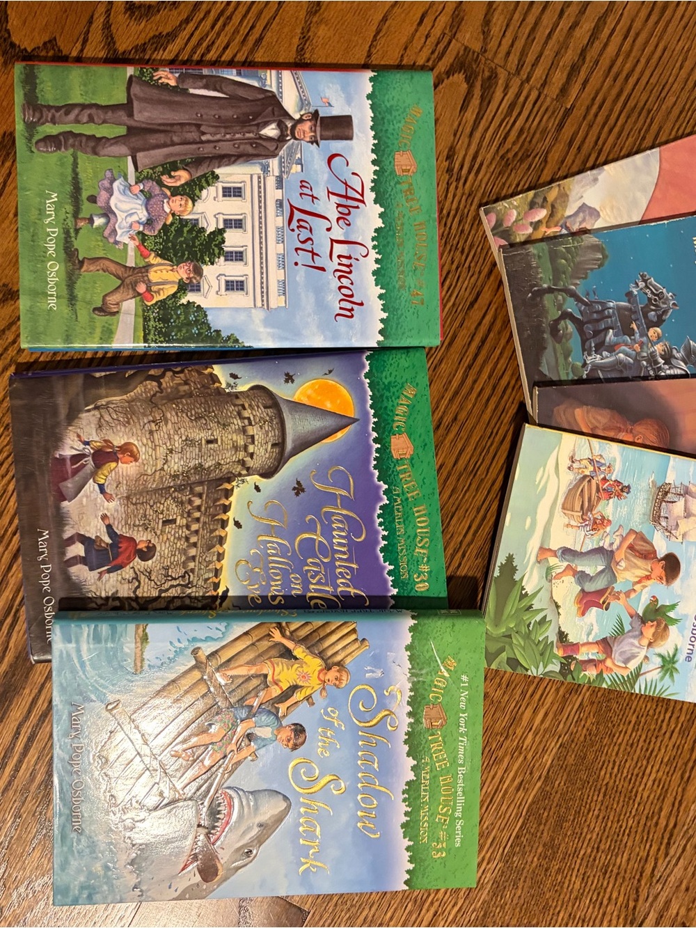 35+ Magic Tree House Book Stack Children's Chapter Books - Picture 6 of 6